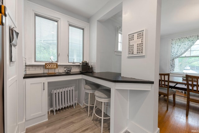 2215 Kensington Blvd, Fort Wayne, IN 46805 - kitchen featuring radiator, dark countertops, light wood finished floors, tasteful backsplash, and crown molding
