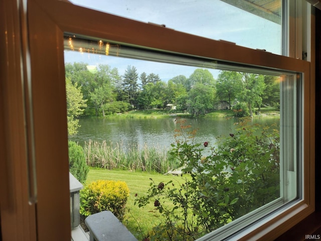 2790 E Cherry Ln, Marion, IN 46953 - water view featuring a tree filled landscape