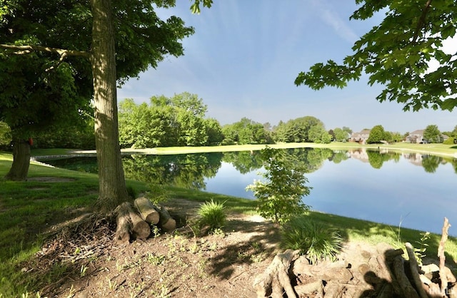 6322 Eagle Nest Ct, Fort Wayne, IN 46814 - water view