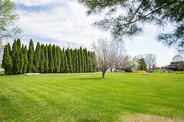 634 E Wildwood Dr, Warsaw, IN 46580 - view of green lawn