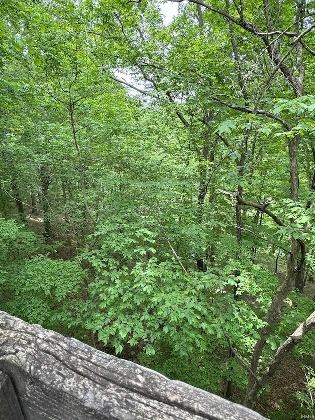 9384 S Lake Ridge Dr Unit 90, Bloomington, IN 47401 - view of woods