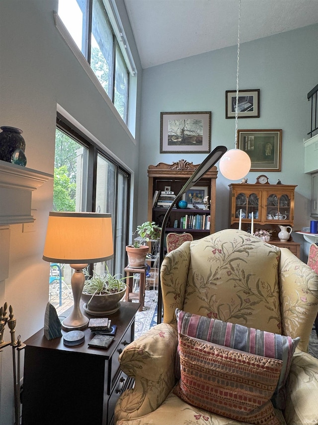 9384 S Lake Ridge Dr Unit 90, Bloomington, IN 47401 - living room with vaulted ceiling