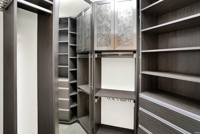 304 W Kirkwood Ave Unit 203, Bloomington, IN 47404 - view of spacious closet