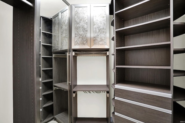 304 W Kirkwood Ave Unit 203, Bloomington, IN 47404 - walk in closet with wood finished floors