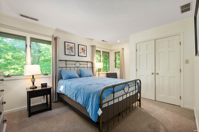 7301 W River Rd, Yorktown, IN 47396 - carpeted bedroom with multiple windows, a closet, baseboards, and a textured ceiling