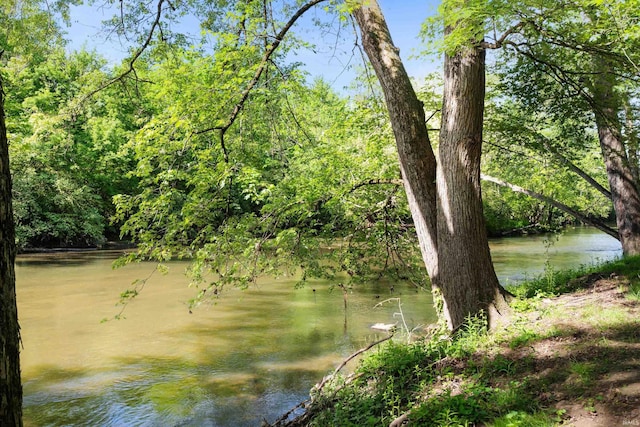 7301 W River Rd, Yorktown, IN 47396 - water view with a forest