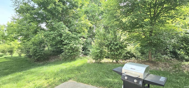 1250 W Adams Hill Cir Unit 401, Bloomington, IN 47403 - view of grassy yard