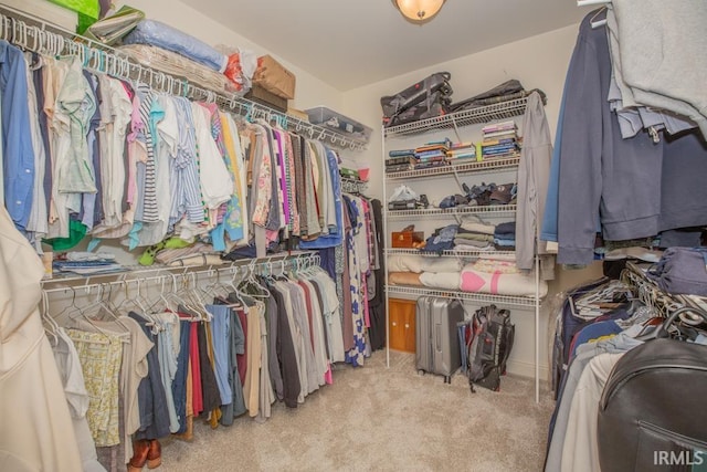 4288 Windhill Ln, Newburgh, IN 47630 - spacious closet with carpet flooring