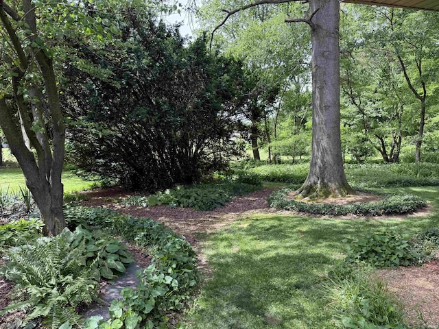 2807 Avondale Rd, Vincennes, IN 47591 - view of green lawn