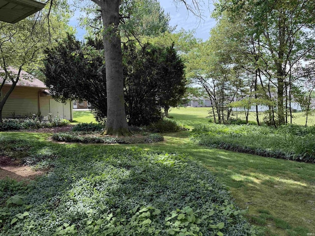 2807 Avondale Rd, Vincennes, IN 47591 - view of grassy yard