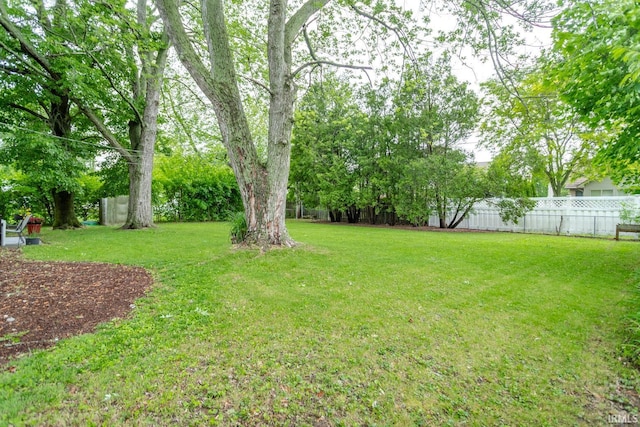 704 Avondale St, West Lafayette, IN 47906 - view of yard