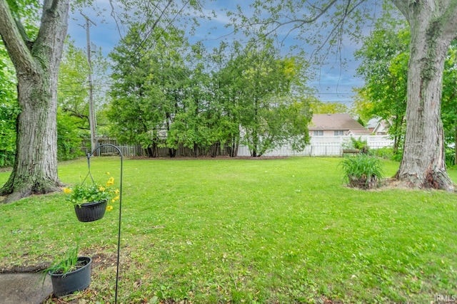 704 Avondale St, West Lafayette, IN 47906 - view of yard