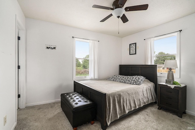 16105 County Road 22, Goshen, IN 46528 - bedroom with light carpet, multiple windows, and baseboards
