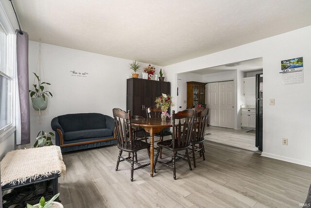16105 County Road 22, Goshen, IN 46528 - dining space featuring light wood-style flooring, healthy amount of natural light, and baseboards