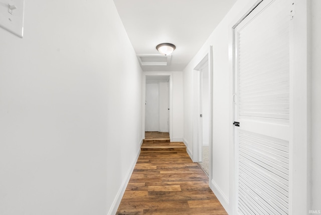 730 E Sherman St, Marion, IN 46952 - hall with wood finished floors and baseboards