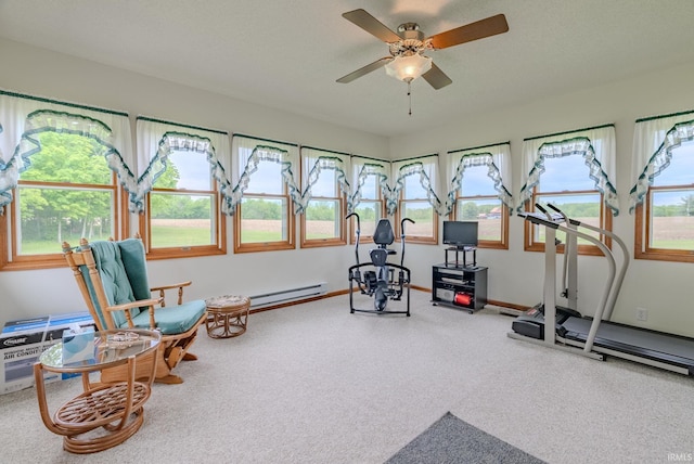 11542 S 700 E, Lafontaine, IN 46940 - workout room featuring baseboard heating, ceiling fan, healthy amount of natural light, and carpet flooring