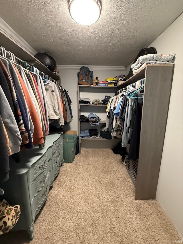 2782 W State Road 32nd Rd, Covington, IN 47932 - walk in closet with light colored carpet