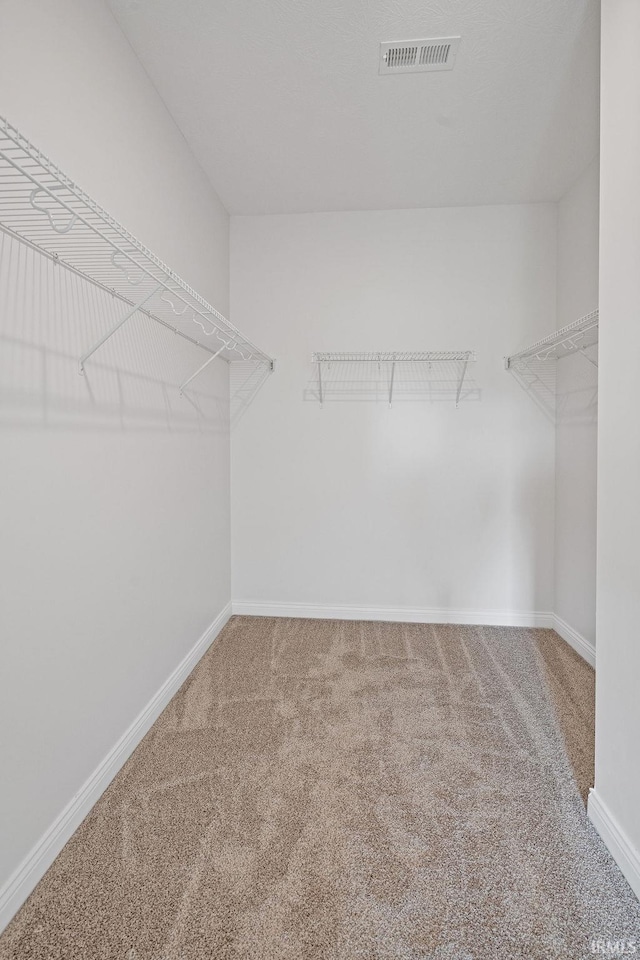 2487 Fiona Dr, Kokomo, IN 46902 - walk in closet featuring carpet flooring