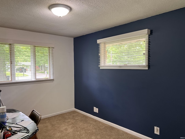 405 N Dogwood Ln, Muncie, IN 47304 - office space with plenty of natural light, carpet flooring, a textured ceiling, and baseboards