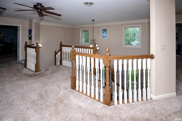 101 Hendron Hills Dr, Vincennes, IN 47591 - hallway featuring carpet floors, an upstairs landing, plenty of natural light, ornamental molding, and baseboards