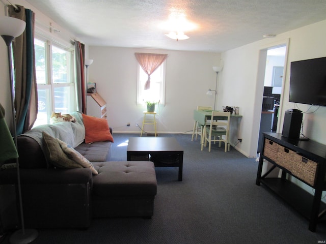 331 W Payton St, Greentown, IN 46936 - carpeted living area featuring a textured ceiling