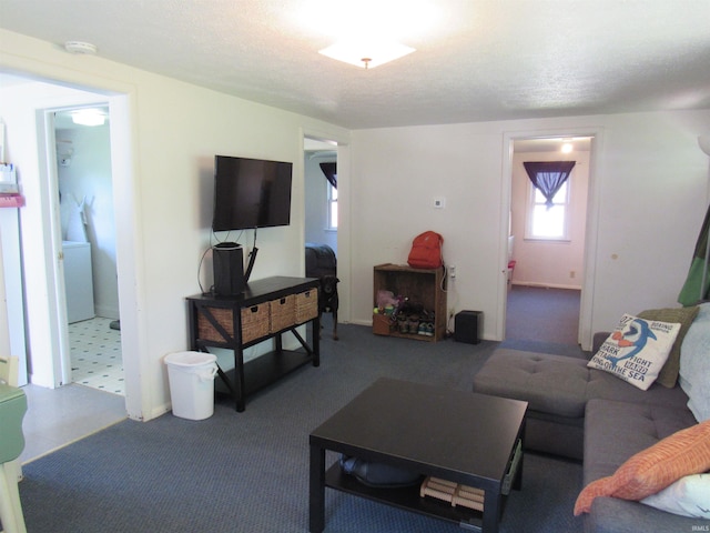 331 W Payton St, Greentown, IN 46936 - view of living room