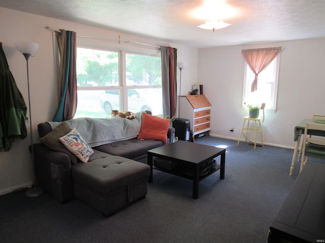 331 W Payton St, Greentown, IN 46936 - carpeted living room with a textured ceiling and baseboards
