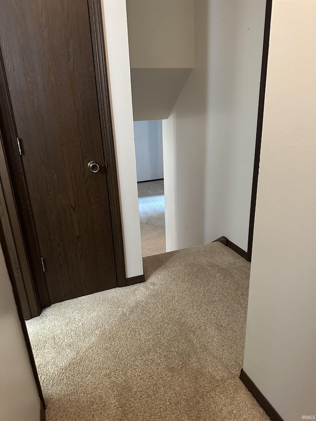 1913 Mckibben St, Wabash, IN 46992 - hallway featuring carpet flooring and baseboards