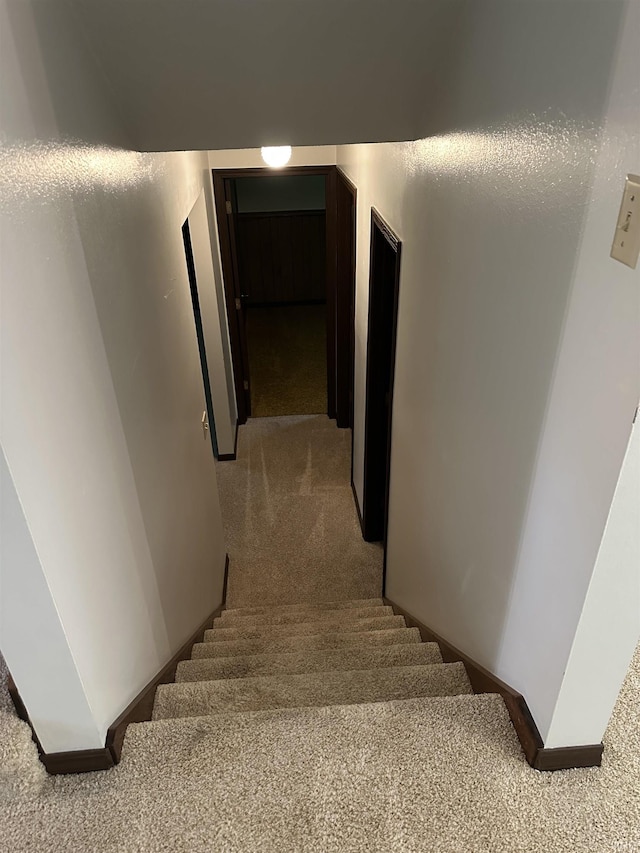 1913 Mckibben St, Wabash, IN 46992 - staircase with carpet