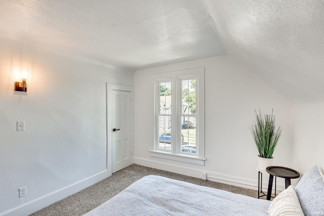 516 W Navarre St, South Bend, IN 46616 - bedroom featuring a textured ceiling, carpet flooring, lofted ceiling, and baseboards