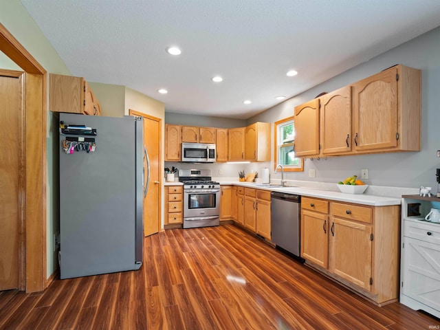 3335 Firethorne Ct, Fort Wayne, IN 46814 - kitchen with appliances with stainless steel finishes, a sink, dark wood-style floors, recessed lighting, and light countertops
