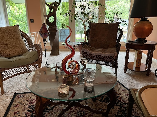 504 S Stratton Way, Decatur, IN 46733 - living area with carpet
