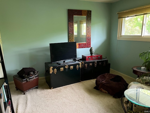 504 S Stratton Way, Decatur, IN 46733 - living area with carpet and plenty of natural light