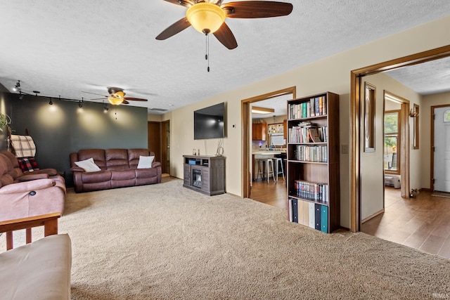 29900 Grant Rd, New Carlisle, IN 46552 - carpeted living area with a ceiling fan, a textured ceiling, and baseboards