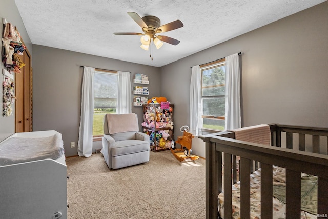 29900 Grant Rd, New Carlisle, IN 46552 - bedroom with multiple windows, light carpet, a nursery area, and a textured ceiling