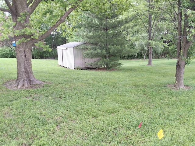 5454 Ski Dr, Loogootee, IN 47553 - view of grassy yard