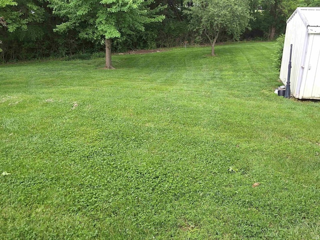 5454 Ski Dr, Loogootee, IN 47553 - view of grassy yard