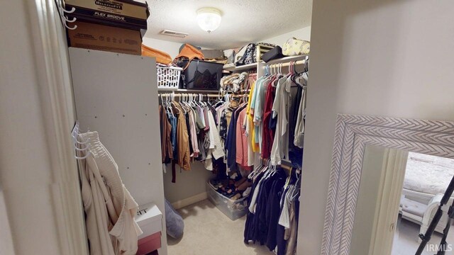 3043 N 400 E Xrd, Monticello, IN 47960 - walk in closet with carpet floors