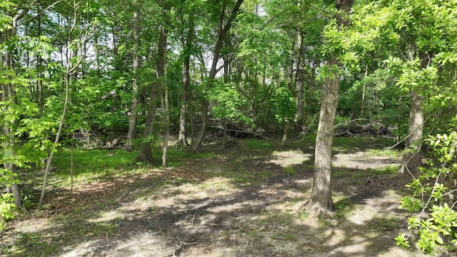 3043 N 400 E Xrd, Monticello, IN 47960 - view of undeveloped land