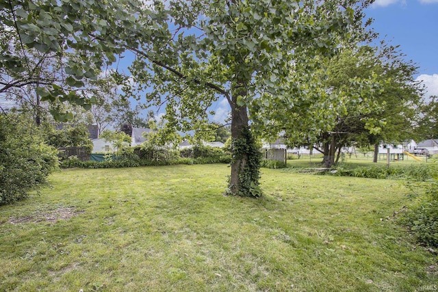 1024 S Lombardy Dr, South Bend, IN 46619 - view of yard
