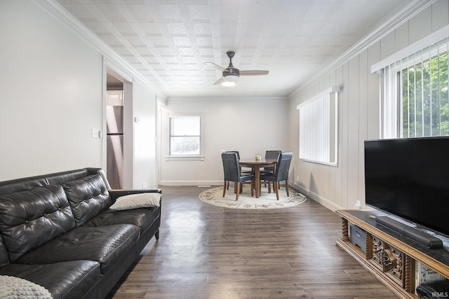1024 S Lombardy Dr, South Bend, IN 46619 - living area with plenty of natural light, a ceiling fan, crown molding, dark wood-style flooring, and baseboards