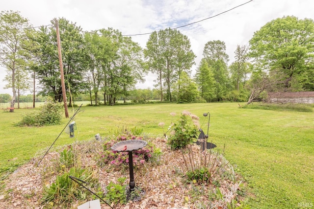3907 N Caldwell Rd, Paragon, IN 46166 - view of green lawn
