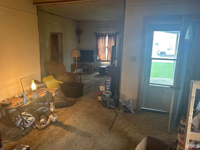 2216 N Philips St, Kokomo, IN 46901 - living room with carpet flooring and plenty of natural light