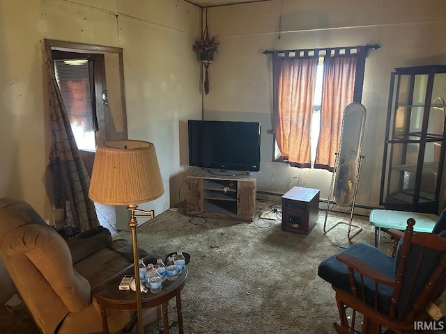 2216 N Philips St, Kokomo, IN 46901 - living area with carpet