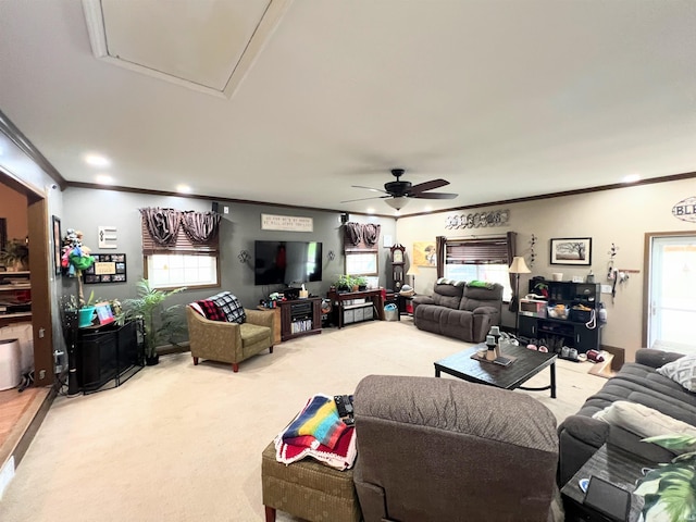 3165 E 300 S Rd, Washington, IN 47501 - living room with crown molding, light carpet, plenty of natural light, ceiling fan, and attic access
