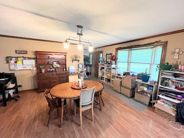3165 E 300 S Rd, Washington, IN 47501 - dining room featuring ornamental molding, wood finished floors, and a textured ceiling