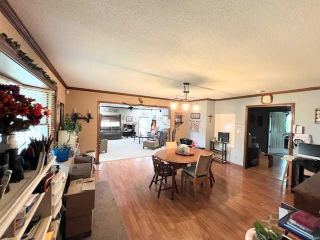 3165 E 300 S Rd, Washington, IN 47501 - dining area with a textured ceiling, wood finished floors, crown molding, and a chandelier