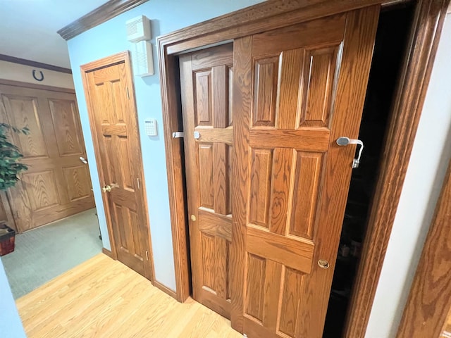 3165 E 300 S Rd, Washington, IN 47501 - hall featuring ornamental molding and wood finished floors