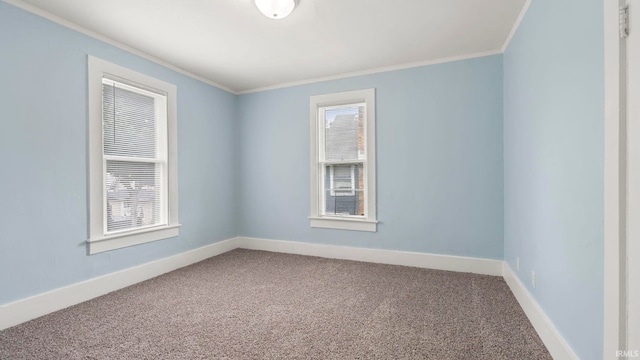 1018 Loree St, Fort Wayne, IN 46805 - spare room featuring crown molding, carpet floors, and baseboards