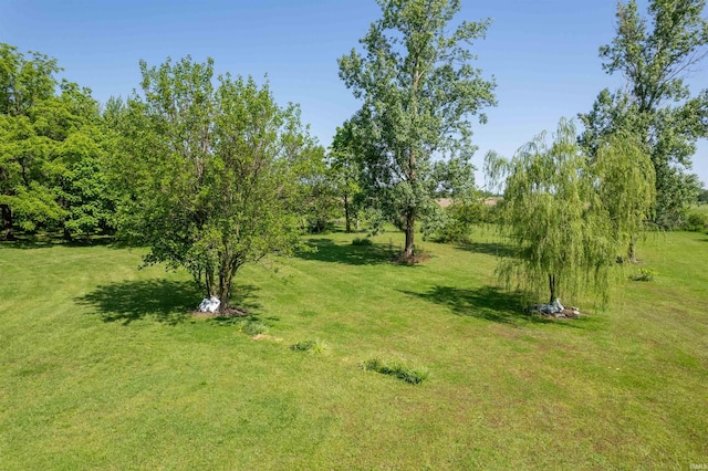 1591 W 100 N, Hartford City, IN 47348 - view of green lawn